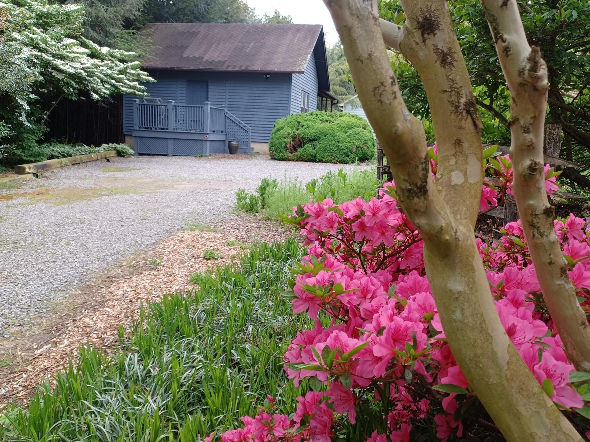 Restored1850S Log Cabin, With Gazebo And Gardens! 1 Mile To Downtown 웨버빌 외부 사진