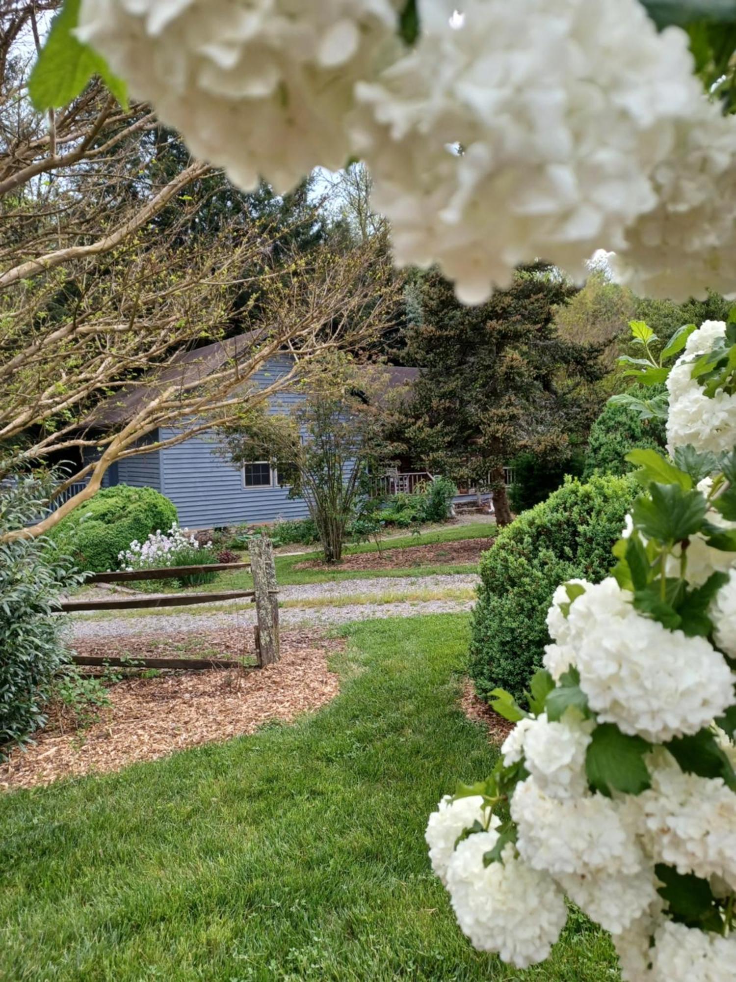 Restored1850S Log Cabin, With Gazebo And Gardens! 1 Mile To Downtown 웨버빌 외부 사진